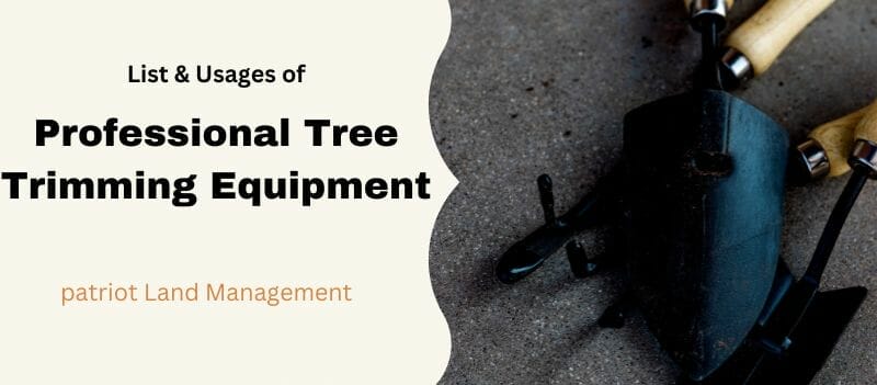 professional tree trimming equipment